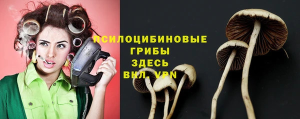 кокс Абаза