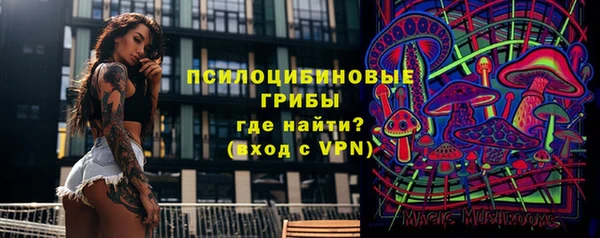 кокс Абаза